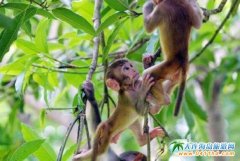 ���H���΍u���O(sh��)����������