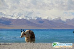 �������� ���ϻ�܇(ch��)ȥ���_ һ��(g��)��M��\(ch��ng)�c�����ĵط�