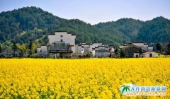 ���·�������(ji��)����Դ�������Ͳ˻�