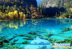 2017������Ϧꖼt���ɶ�����կ����ӳ�������������S��Ϫ����üɽ