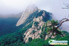 ���ε��||���|���G����(n��i)���δ����P��ɽ����ɽ�L�Ǽ���o���M����