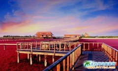 �t�����t���� ���µļt�������� �P�\�t������ʲô�Ǽtɫ��