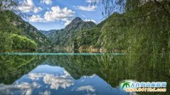 ���T(m��n)ɽ2017�괺���_(k��i)�@�{�� ����ȥһ�����T(m��n)ɽ�^(gu��)��������