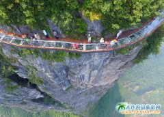 ���ҽ����α�ȥ����(zh��n)�Ďחl�������������(zh��n)����ˆ���