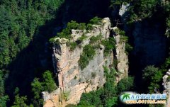 ��һС�L�ٴ��B�����ҽ���������������Դ