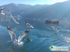 ���������Ј��ĸ��{(di��o)���¼ܲ������a(ch��n)Ʒ