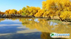 ��ȥ��ԭ���ζ���ʲô����ģ����c(di��n)������Щ��