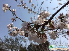 2017��혙ѻ����ȿ� ��혙ѻ��@