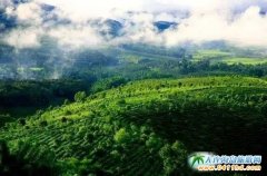 ��ʮ����Ї��ն��蹝(ji��)17���������ն����_Ļ