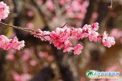 �½������ӻ���(ji��) �½��ӻ���ح�����ӻ���