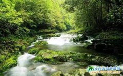 ȥ�������γ��ˏ��ҽ�߀����Щ���z��������