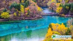 �P(gu��n)���Ĵ���կ�ϵĂ��f