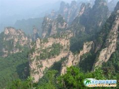 ��һ�żٵ����ҽ�����Ҫע����Щ���(xi��ng)