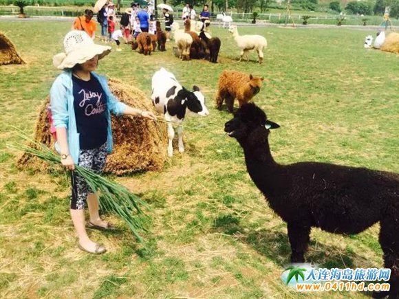 ��һ����