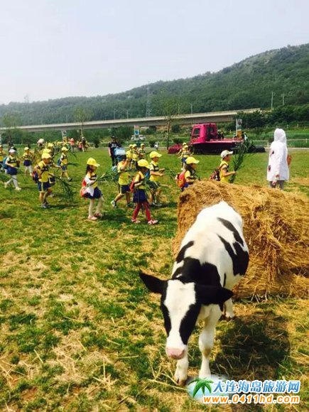 ��һ����