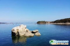 ��Ƥ�u����ס�޹���ح̽��