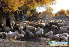 ��(n��i)�ɹ�һ���ļ�����������(n��i)�ɹ��L(f��ng)