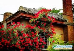 ���̫�(y��ng)�ϣ��p��ѻ����Nޱ��ح���һ����