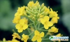 ���ڴ��B��혵ġ�С��Դ���������̫ꖜ�����Ժ