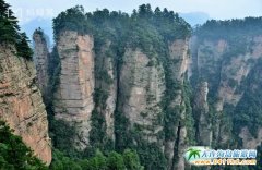 ���B�����ҽ�8����������ȥ���ҽ�����Ҫע��Щʲô