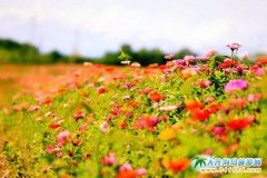  ʯ�Ǎu�����D������ʯ�Ǎu�������¾��c(di��n) 