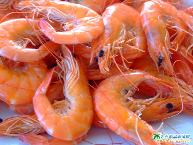 ���ɍu�ȼٴ�