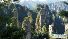 9���؃r��ʮһ�żٴ��B�����ҽ������ҽ�������ɭ�ֹ��@�����Tɽ