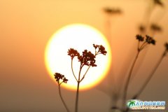  ����u�ճ������S�������ϼ�� 