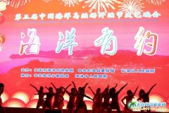  2017�꺣��u�_�O��(ji��)��ˇ����D�� 