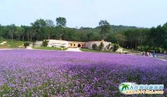 ���B��ʯ���Đ��u�������Đ��u��ô�����Đ��u���@�а�܇����