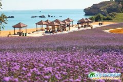  ��ʯ���Đ��u�����DƬ 