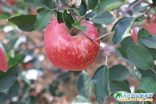 ���B�O����ժ�@