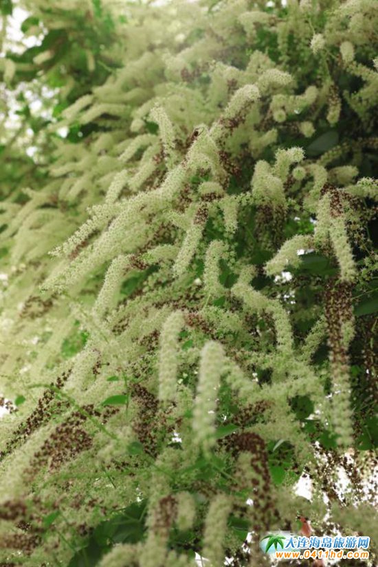 ��혺���O����ժ�@