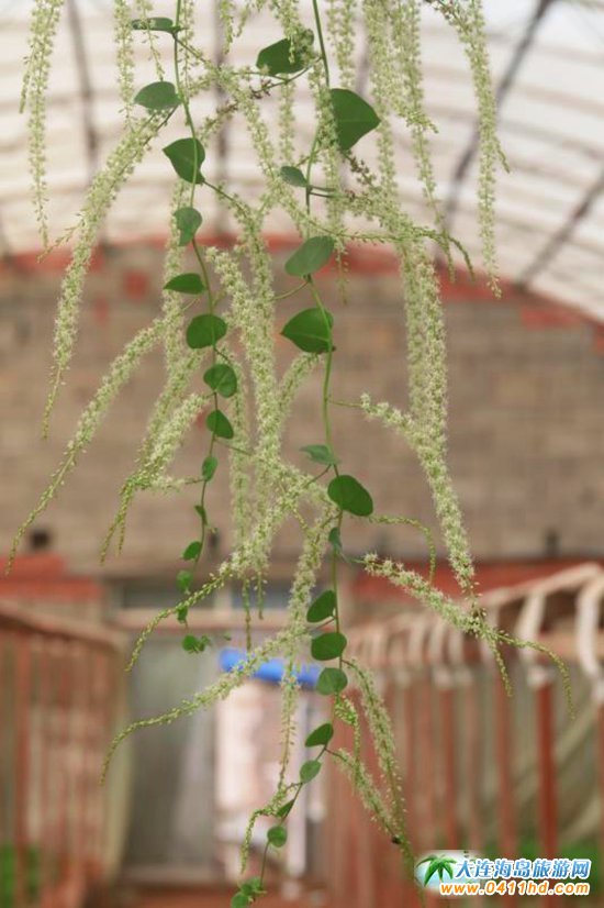 ��혺���O����ժ�@