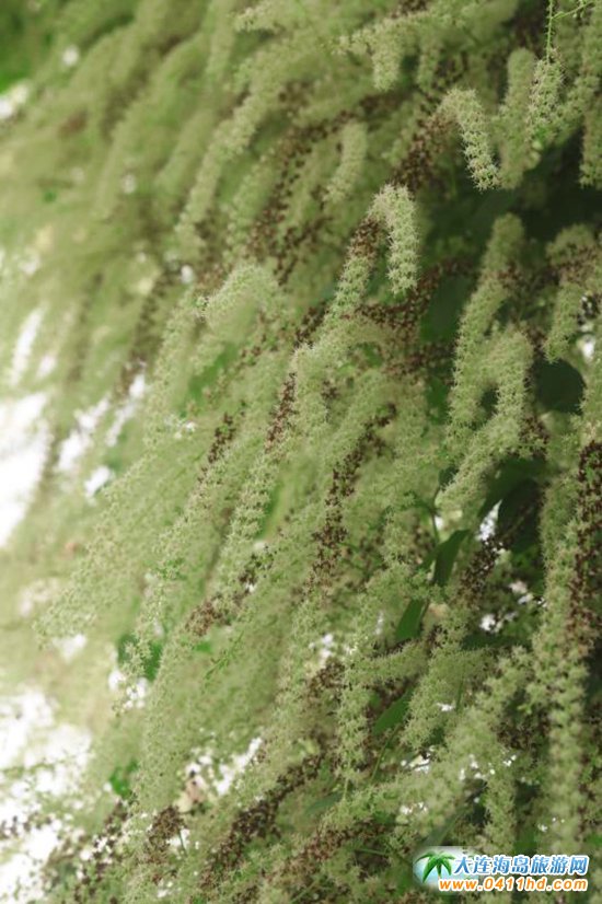 ��혺���O����ժ�@