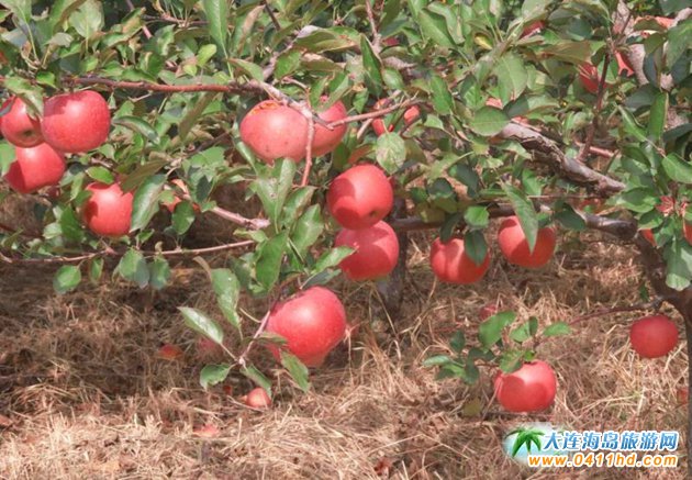 ��혼�ͥ�r��