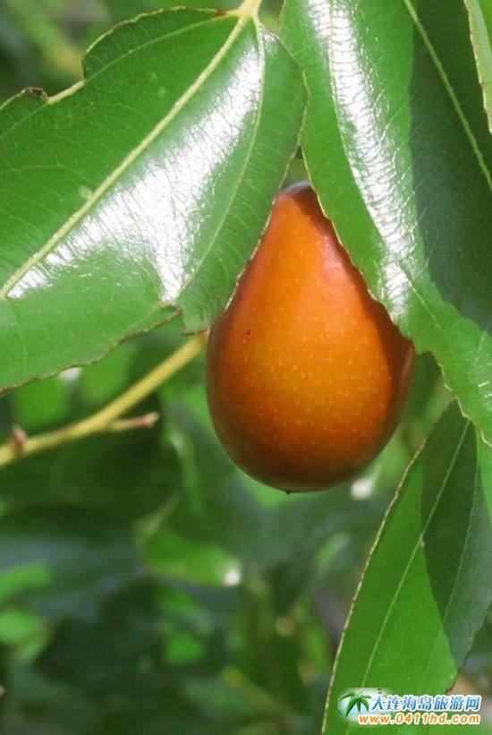 ��혼�ͥ�r��