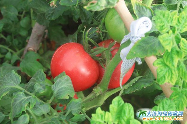 ��혼�ͥ�r��