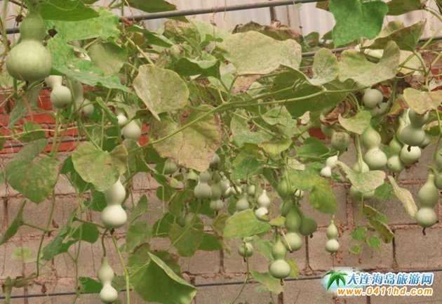 ��혼�ͥ�r��