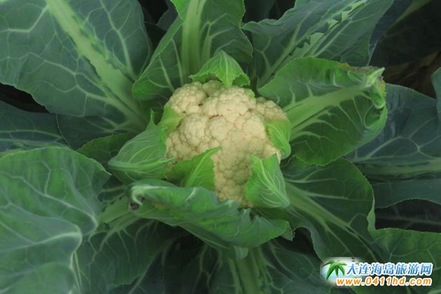  ��혺���O����ժ�@