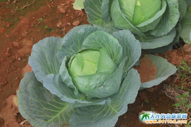  ��혺���O����ժ�@