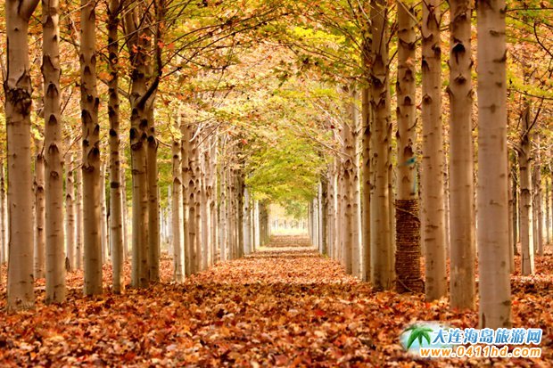  ���B��ʮ�ﱤ���~�ֈD�� 