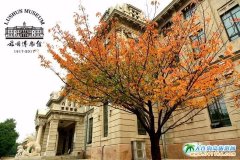 ������ι��� �|��������ξ��c(di��n) ������ξ�·