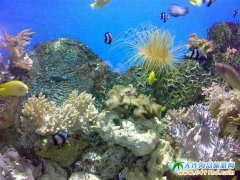 ���B���α��^�д����Եľ��c����Щ��