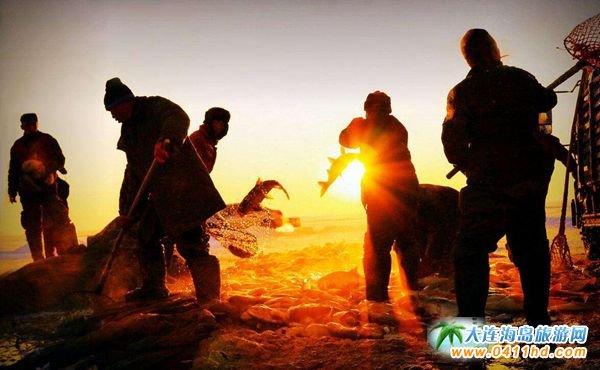 ��ɺ�����