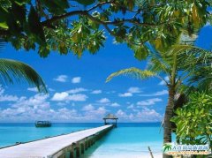 ׷��(m��ng)���� ���B�������p�w6����