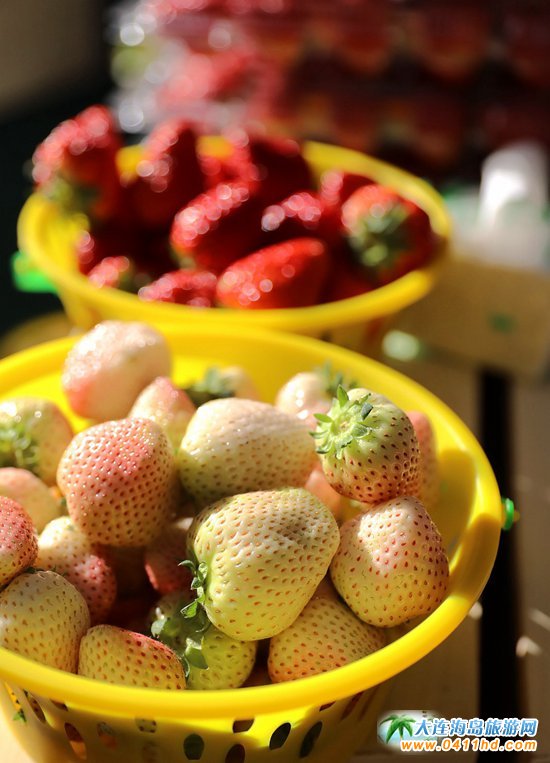 2018���B��ݮ�Ļ����ι�(ji��)