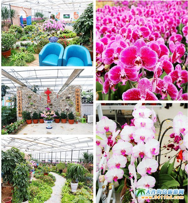 ���B��ݮ��ժ