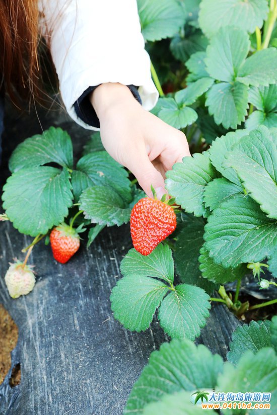 ���B��ݮ��ժ