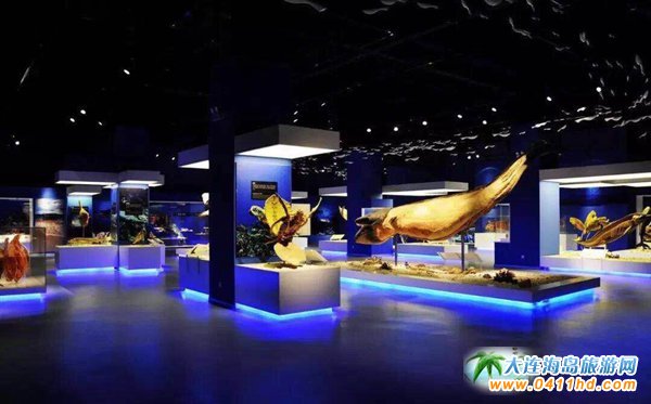 ����(ji��)����